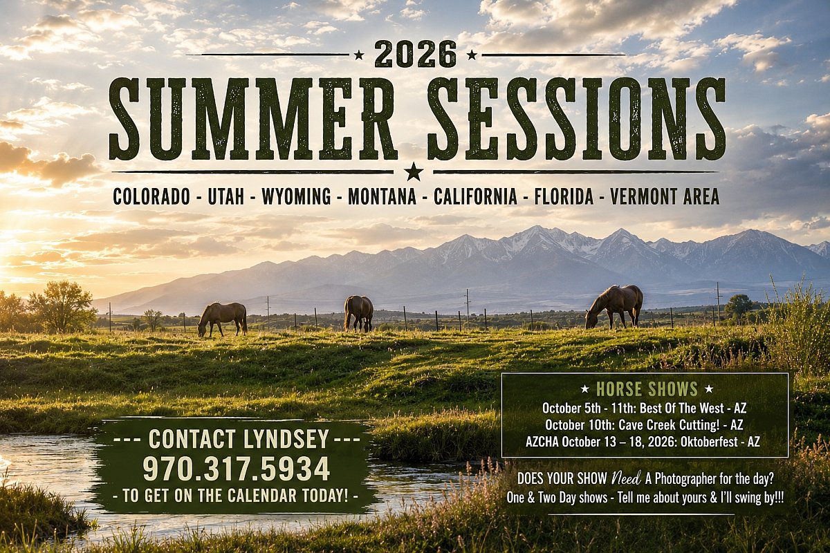 summer sesh lamell.jpg